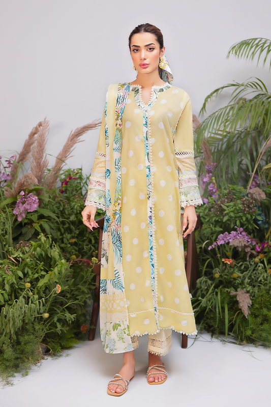 Nazli Nazli Nazli Nazli Nazli NazliNazliNazliNazliNazliNazli Manara by Maria Asif Baig Nazli